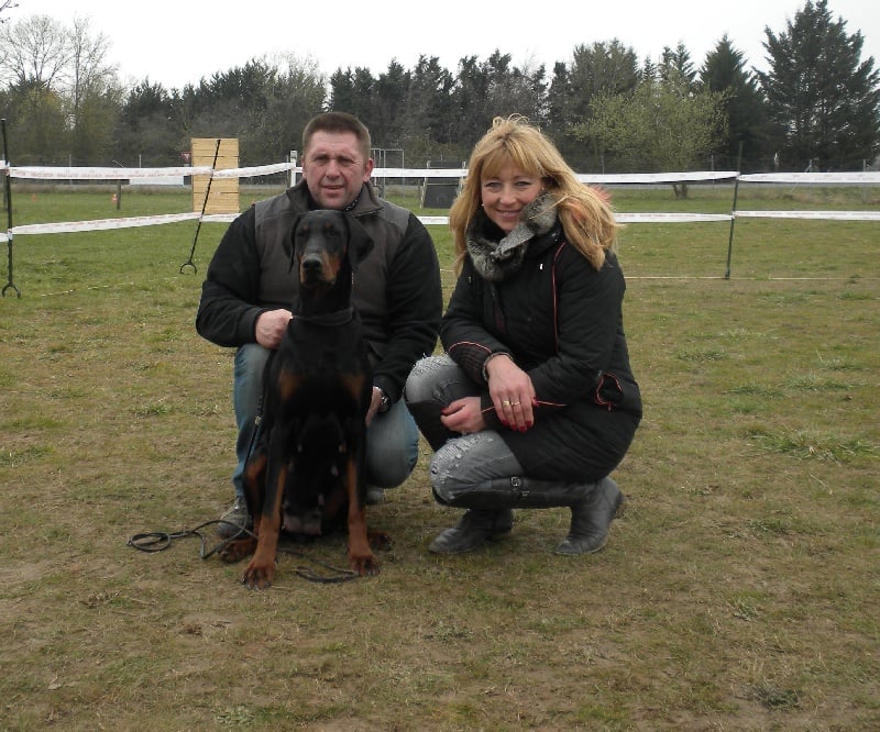 Hold up Of devil inside - 1 er Excellent Classe Débutante Femelle Noire