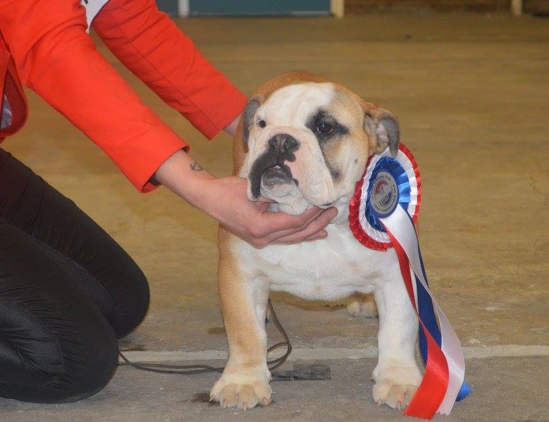 Indochine De la Cour des Molosses