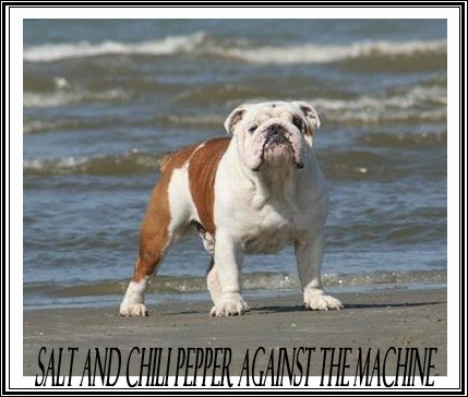 Embrouille dite nikita Sachbulls