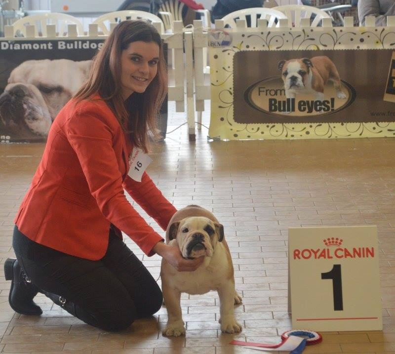 Indochine De la Cour des Molosses