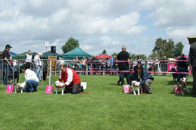 Kamelia Eden bulls - 2eme T.P (classe Baby)