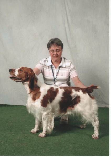 Canna Des terres froides - 1 exc CAC-CACIB Meilleur de race