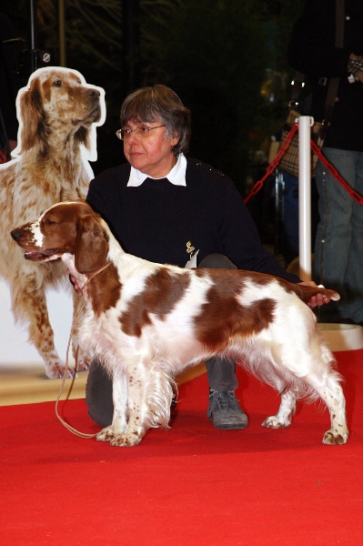 Canna Des terres froides - CAC-CACIB meilleur de race