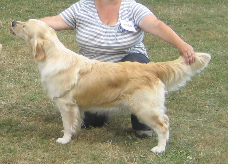 Bojangels Enchantment - CACS, CACIB, BOB, BOG