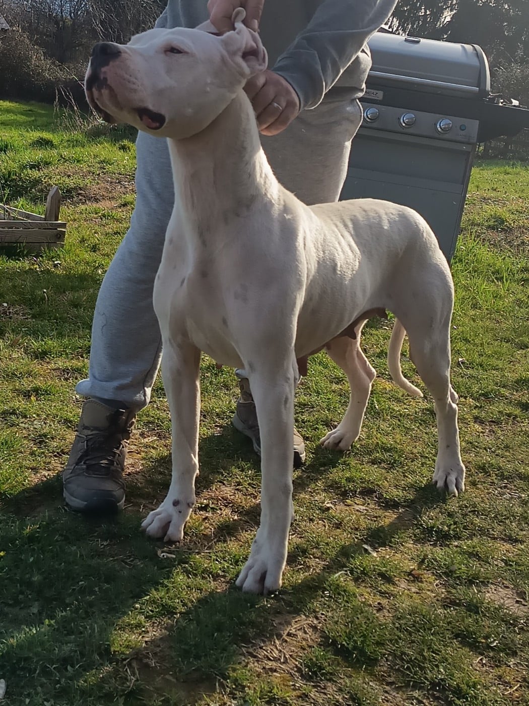 Huiaracocha de la cocha