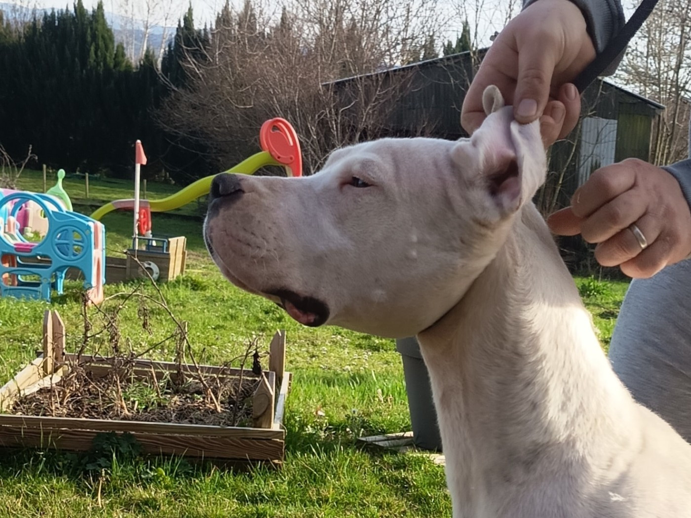 Huiaracocha de la cocha