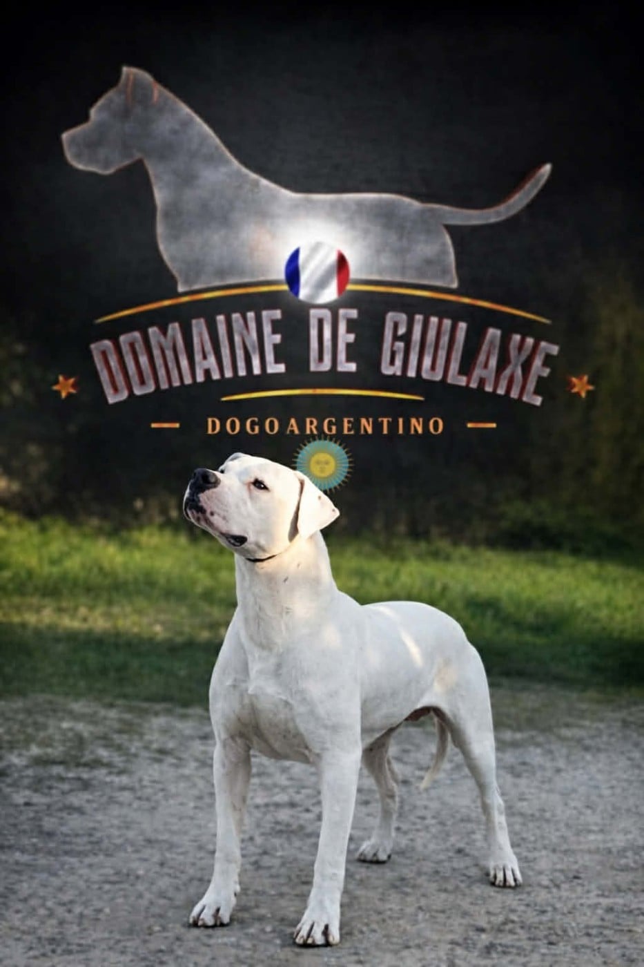 Urban du domaine de Giulaxe