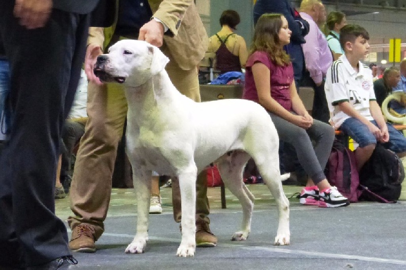 CH. Xana riofabar - 1ère EXCELLENTE- CACL - CACIB - BOS
