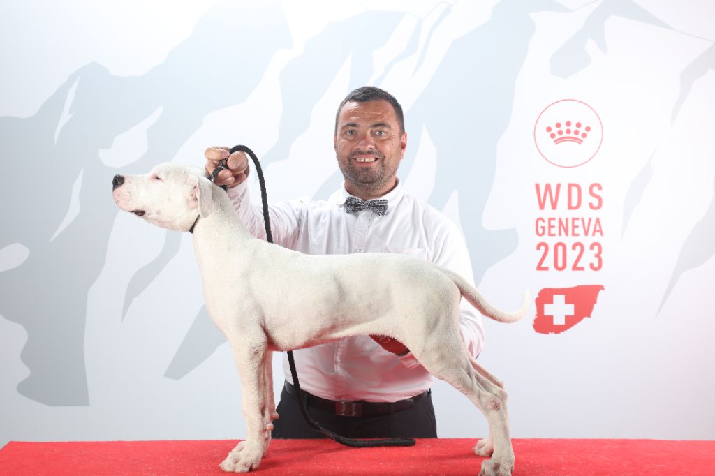 Urban du domaine de Giulaxe - 1er TRES PROMETTEUR - MEILLEUR BABY DU MONDE