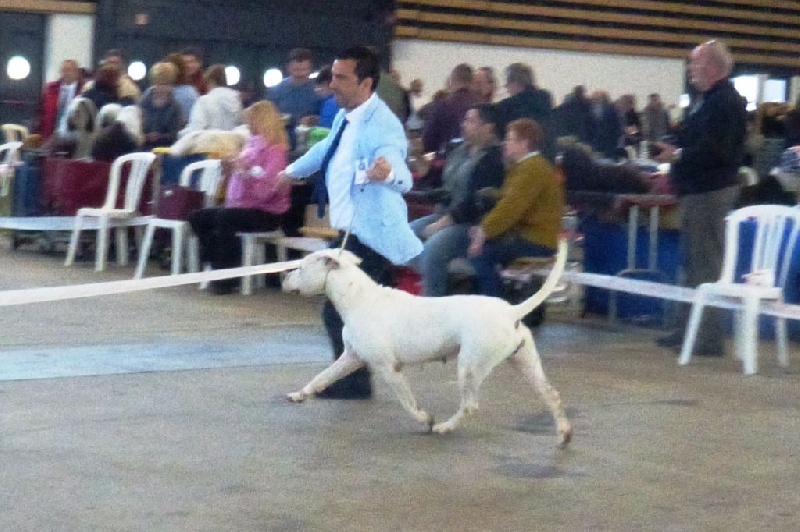 CH. Xana riofabar - 1ère EXCELLENTE
