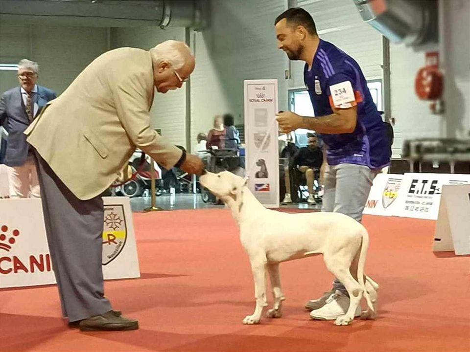 Urban du domaine de Giulaxe - 1er TRES PROMETTEUR - MEILLEUR BABY