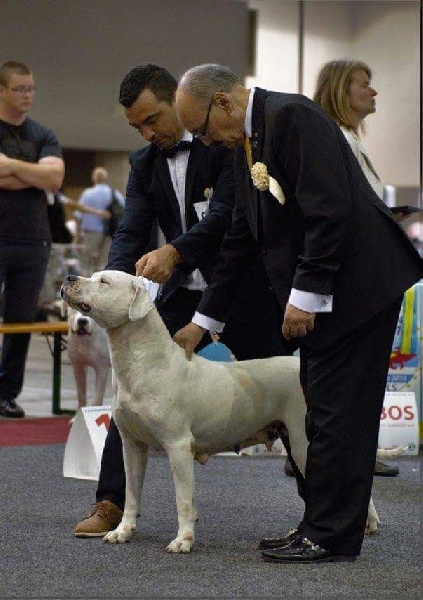 CH. Xana riofabar - EXCELLENTE