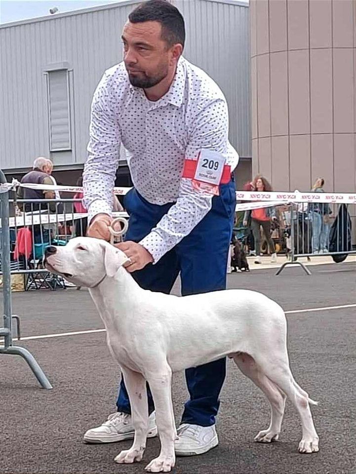 Urban du domaine de Giulaxe - 1er TRES PROMETTEUR - MEILLEUR BABY DE LA RACE ET DU GROUPE 2
