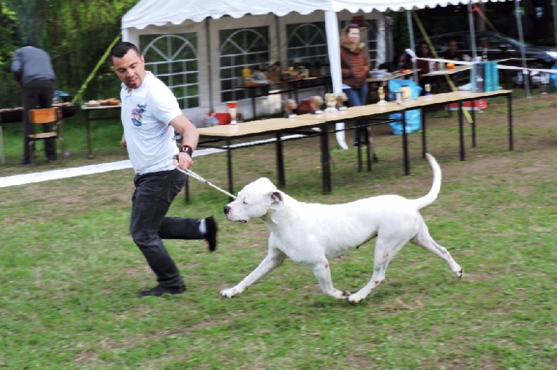 CH. Xana riofabar - 1ère EXCELLENTE - MEILLEURE FEMELLE - MEILLEURE DE RACE