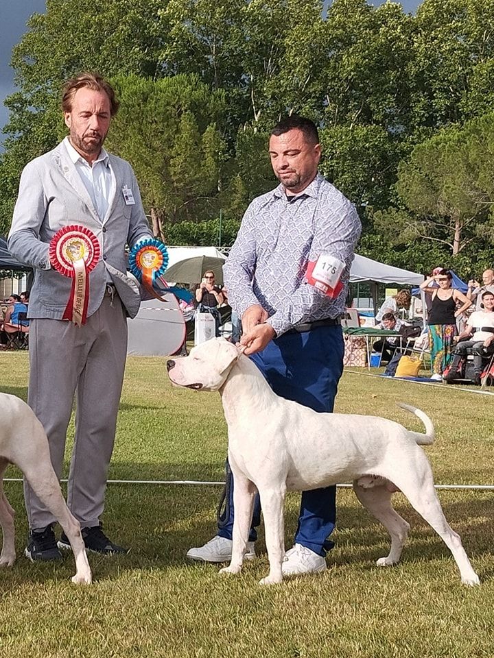 Urban du domaine de Giulaxe - 1er EXCELLENT - CACS J - MEILLEUR JEUNE