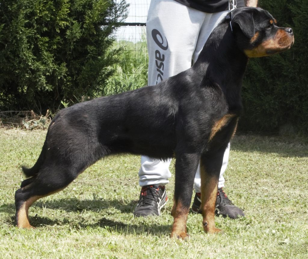 Publication : von der wharen kraft