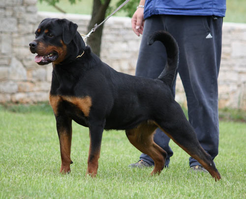 Publication : von der wharen kraft