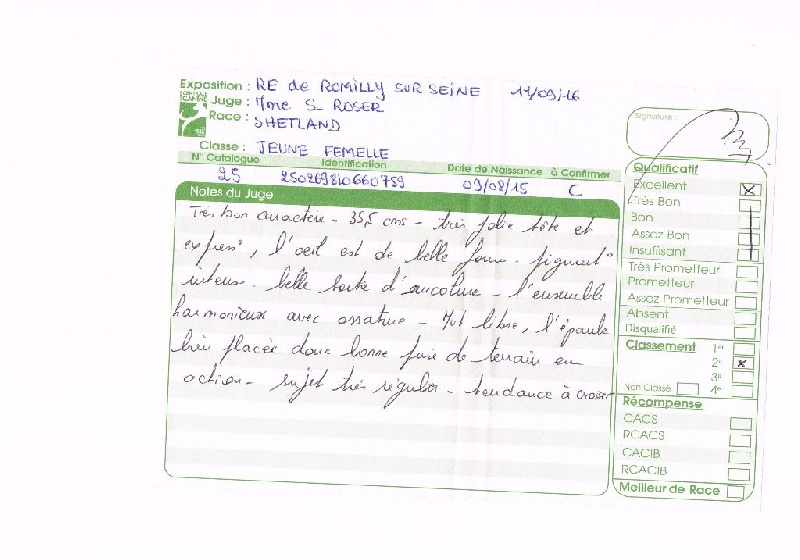 Lipase des loups de l'isengard - 2ème EXCELLENT classe jeune femelle