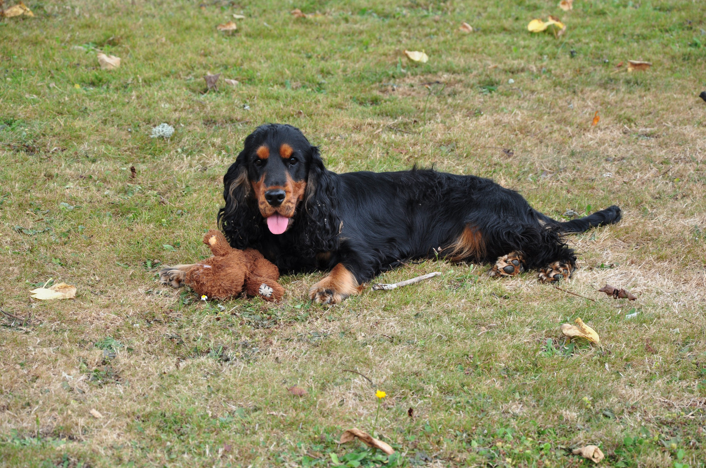 Publication : des Charmes de Verzan Auteur : Valérie LAREU