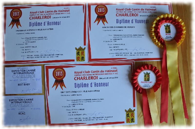 I wanna be a star de l'Isle aux Lutins - Très Prometteur Meilleur Baby