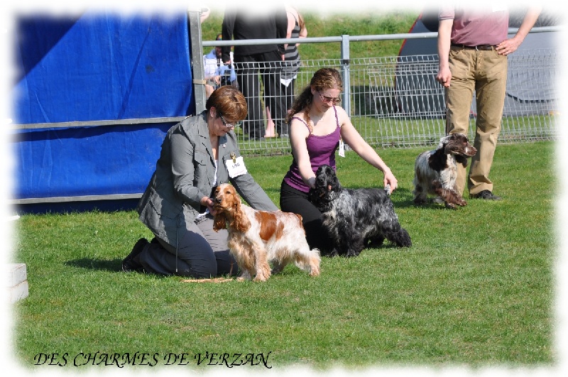 Esquise De la vallee de veroullier - 1ère excellente RCACS classe intermédiaire
