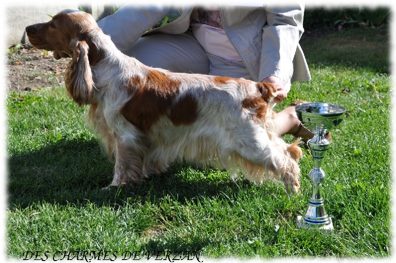 Esquise De la vallee de veroullier - 1ère excellente CACS