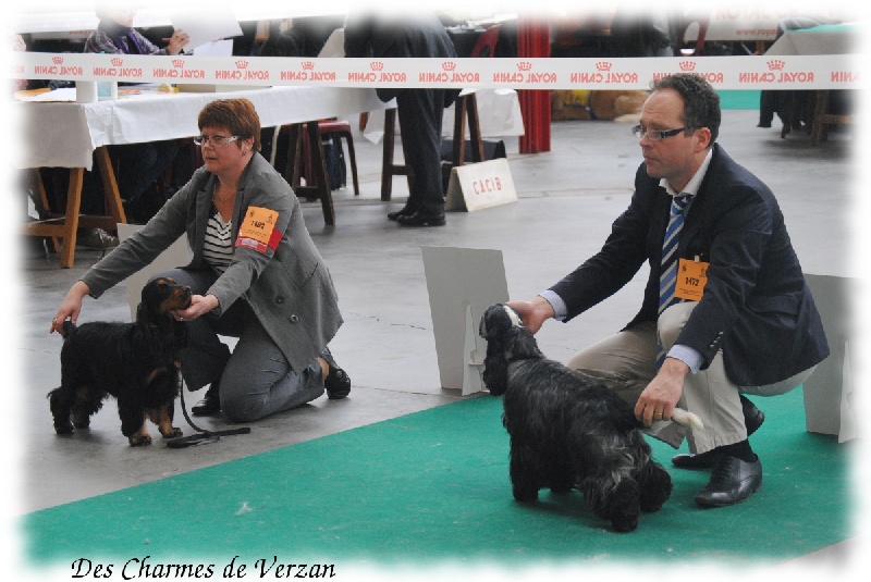 Isn't she lovely de l'Isle aux Lutins - Très Prometteur- BOB- Meilleur Puppy