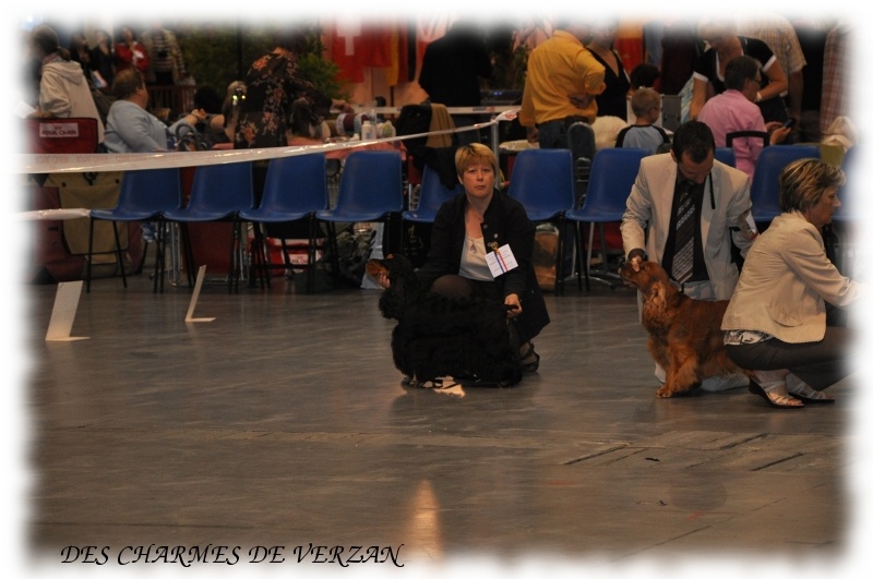 Corralet du Talai - 1er excellent CACS