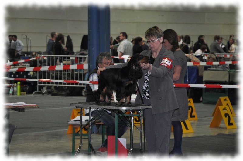 I wanna be a star de l'Isle aux Lutins - TB classe jeune