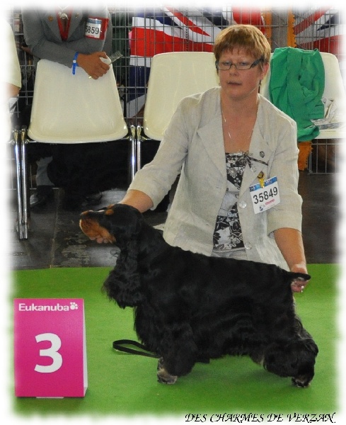 Corralet du Talai - 3ème excellent classe ouverte mâle